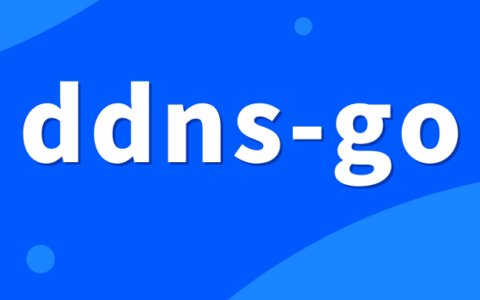 Docker应用4：DDNS-go动态IP解析服务