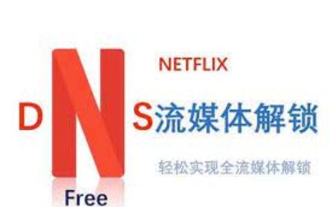 DNS 流媒体一键分流脚本：适用于Alice