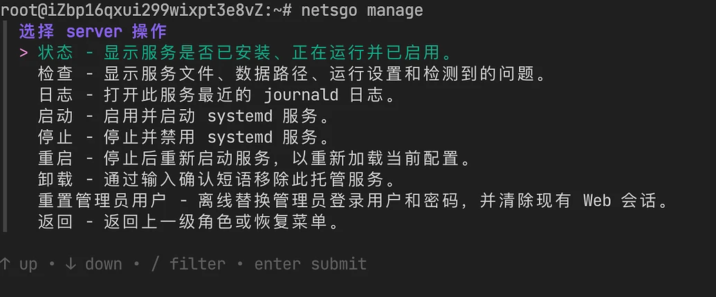 NetsGo : 开源内网穿透与节点管理平台