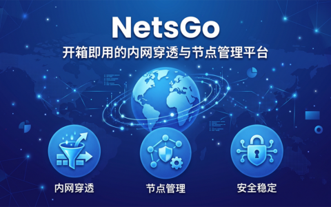 NetsGo ： 开源内网穿透与节点管理平台